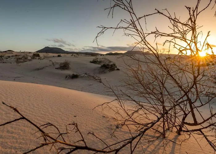 Mammanico Semesterbostad